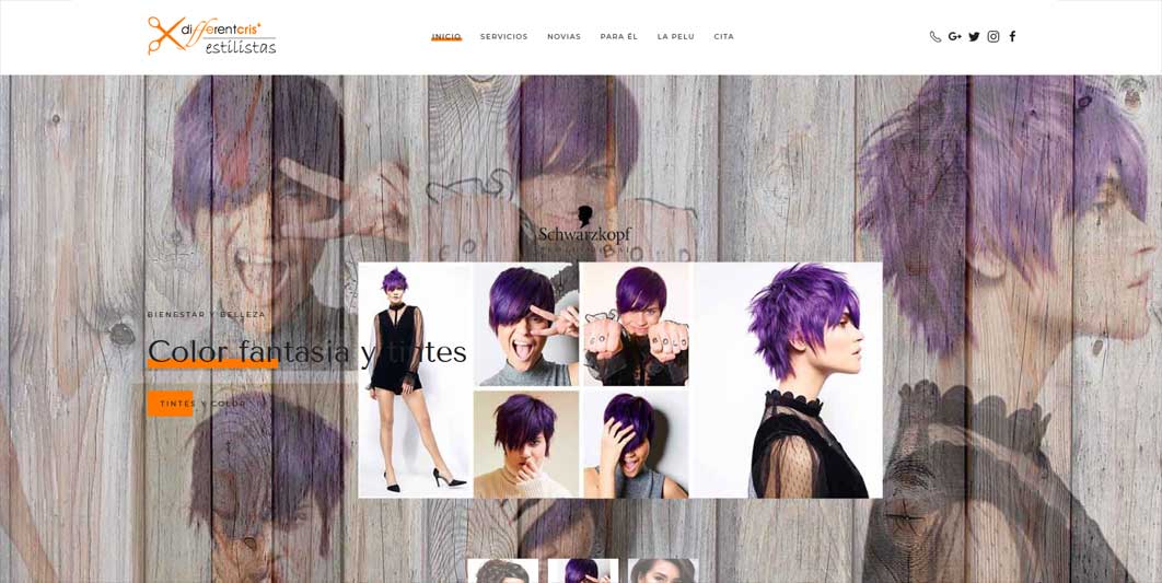 Diseño web de la peluqueria Different cris - Alicante
