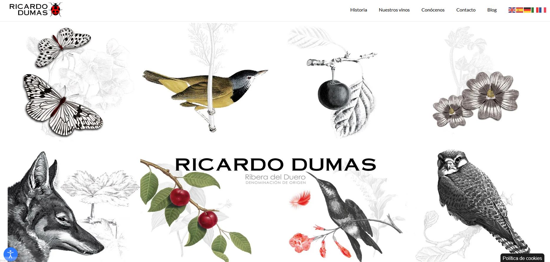 Ricardo Dumas tienda online y página web