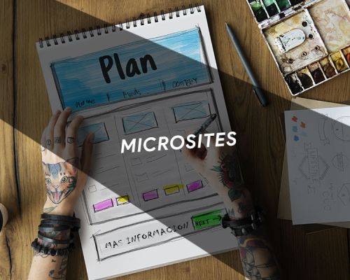 Tipos de microsites y para que sirven