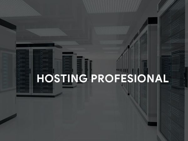 Hosting en Valladolid · Soporte 24/7 en castellano