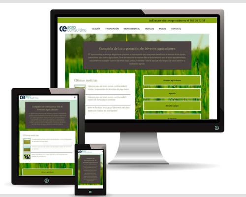 CE Agro Consulting la consultoría del campo