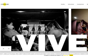 Diseño web profesional de Vivecicling
