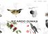 Ricardo Dumas tienda online y página web