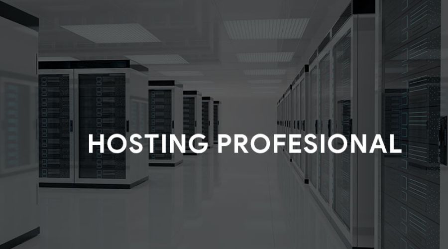 Hosting en Valladolid · Soporte 24/7 en castellano