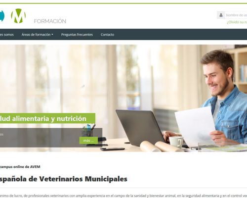 Página web AVEM