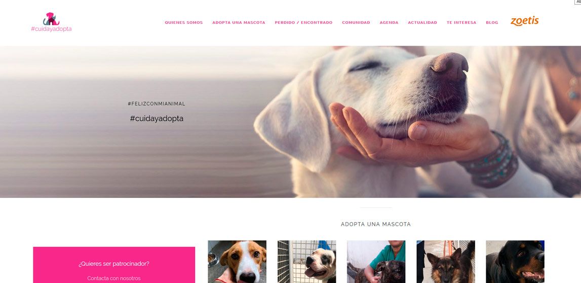 Diseño de la pagina web de Cuida y Adopta
