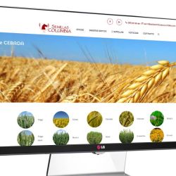 Página web en Laguna de Duero