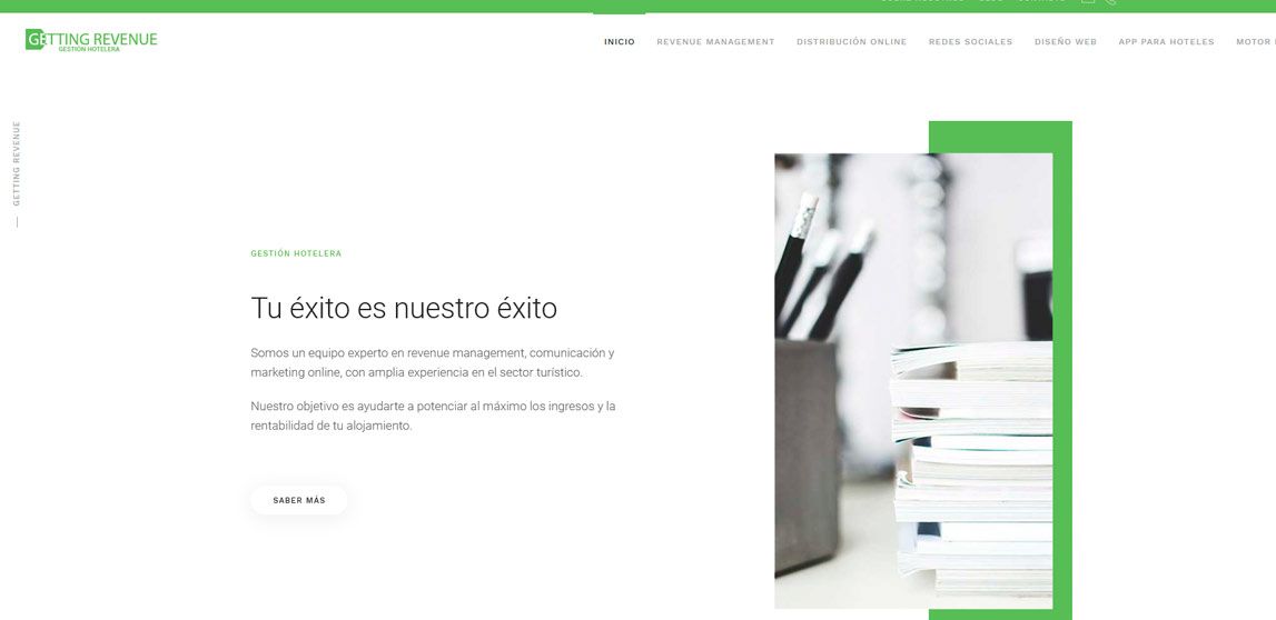 Diseño de la Página web getting revenue