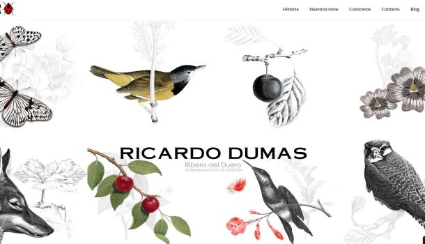 Ricardo Dumas tienda online y página web